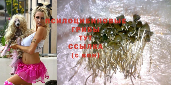 прущий лед Козельск