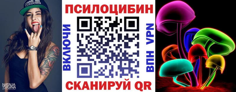 Купить где  Усть-Джегута  Псилоцибиновые грибы Cubensis 