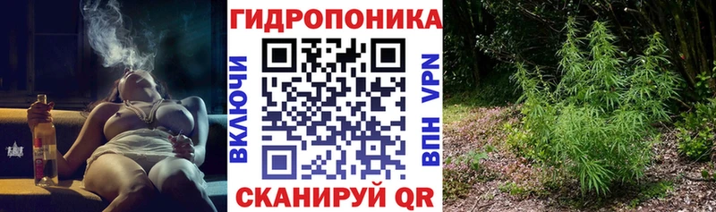 Конопля LSD WEED  Купить где  Усть-Джегута 